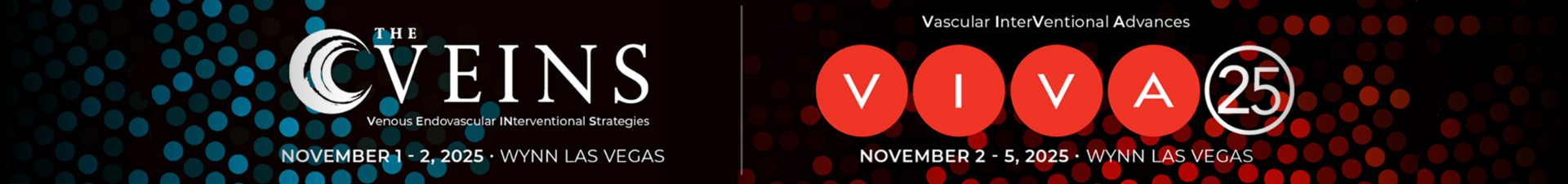 VIVA and The VEINS 2025