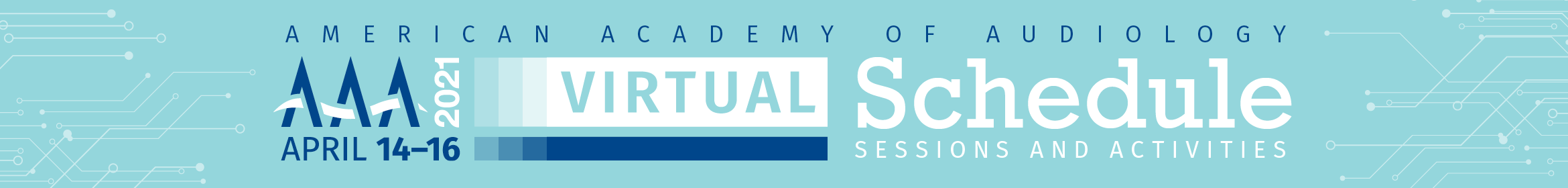 AAA 2021 Virtual