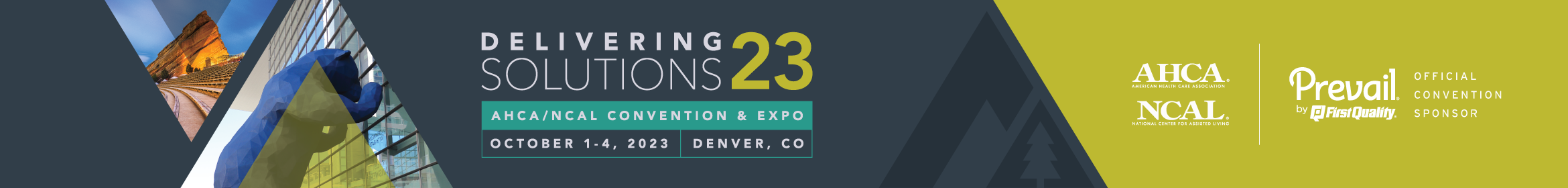 Delivering Solutions 23 Main banner