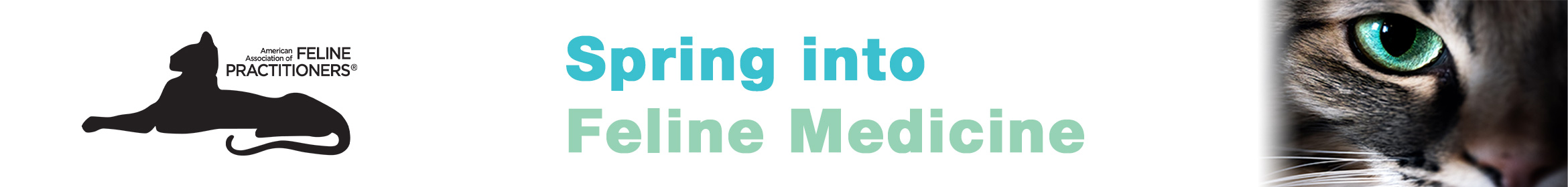 Spring into Feline Medicine 2023 Main banner