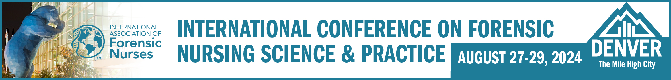 IAFN2024 International Conference Main banner