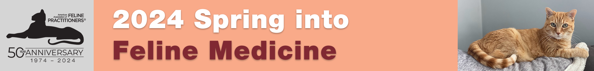 Spring into Feline Medicine 2024 Main banner