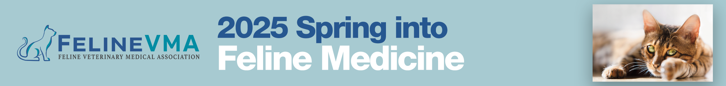 Spring Into Feline Medicine eConference 2025 Main banner
