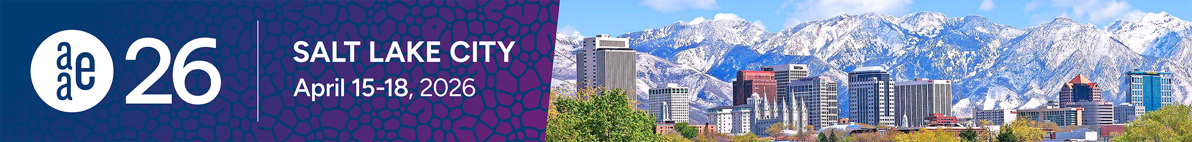AAE26 Main banner