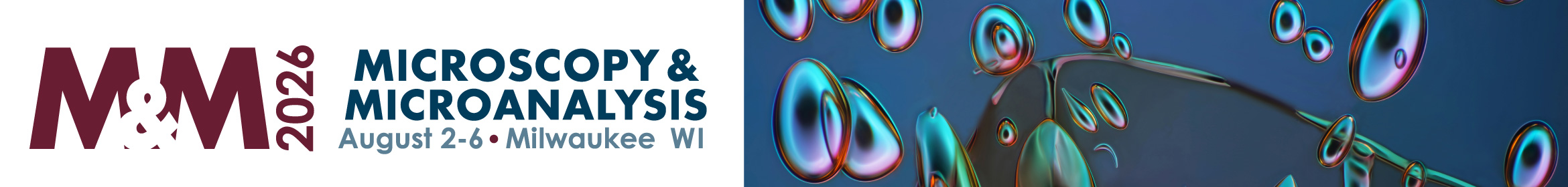 M&M 2026 (Microscopy & Microanalysis) Main banner