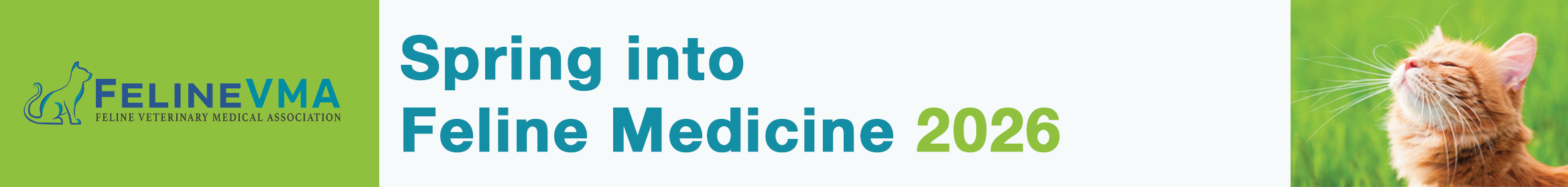 Spring Into Feline Medicine 2026 Main banner