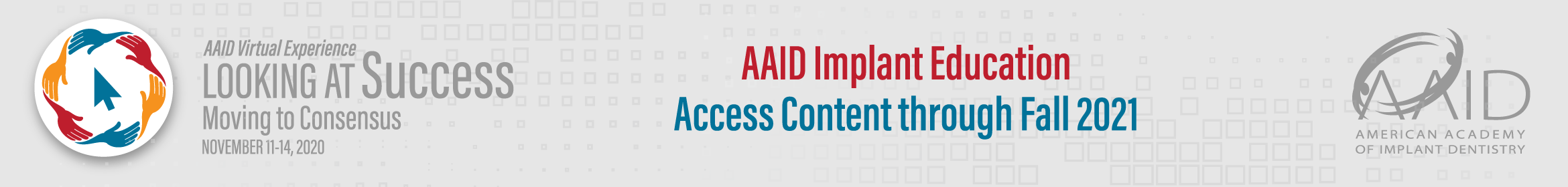 AAID 2020 Virtual Experience Main banner