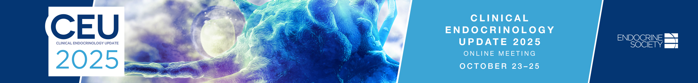 2025 CEU (Virtual) Main banner