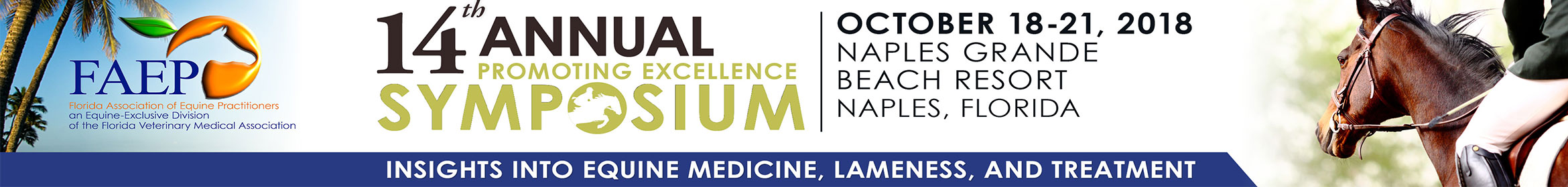 14th Annual FAEP Promoting Excellence Symposium 2018 Main banner