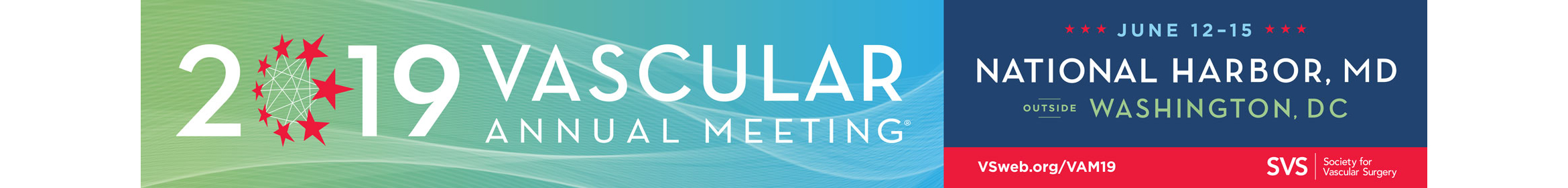 2019 Vascular Annual Meeting Main banner