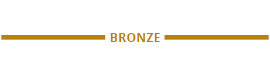 Bronze Sponsor