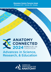 Anatomy Connected 24